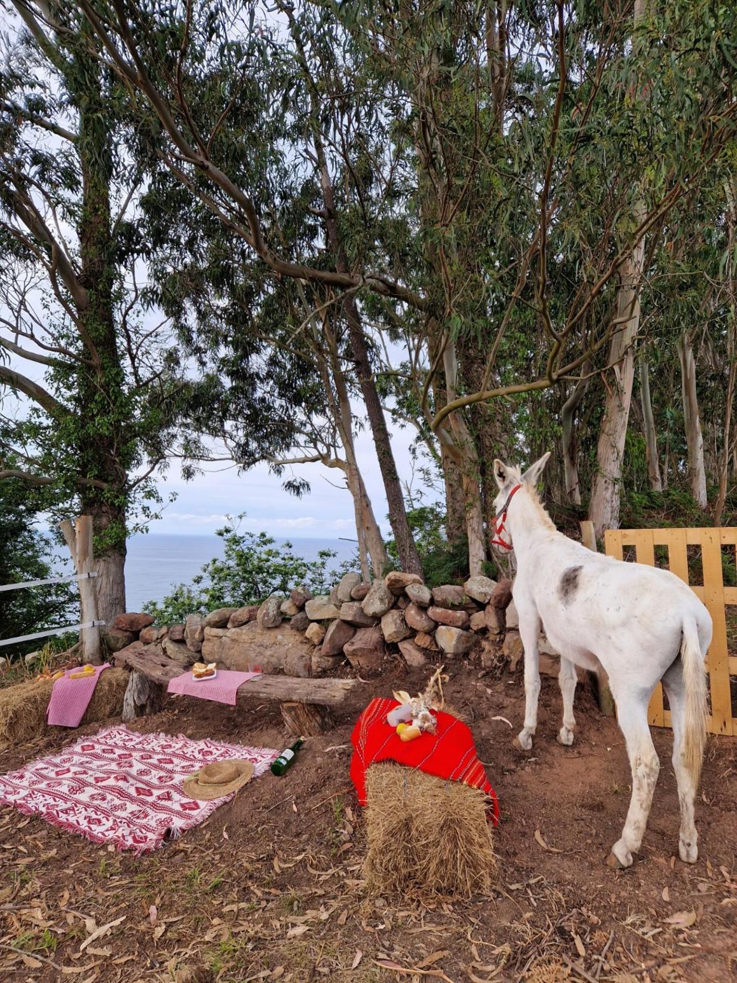 Turismo Rural El Piensu Villaviciosa  Ngoại thất bức ảnh